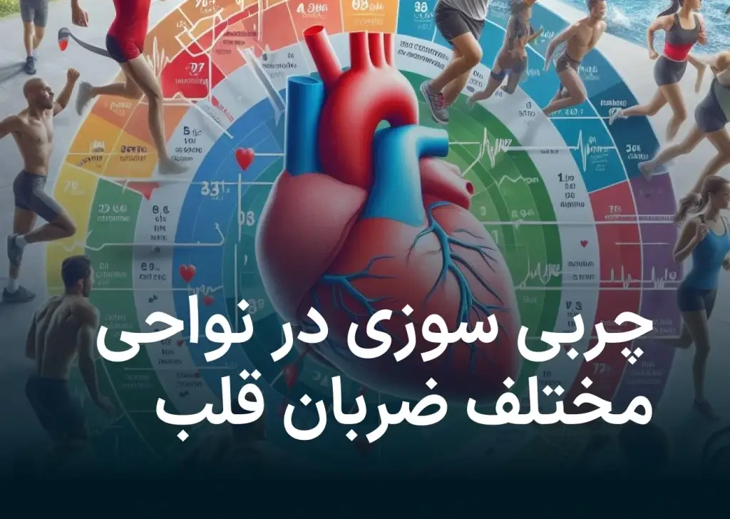 چربی سوزی در منطقه بندی‌های ضربان قلب